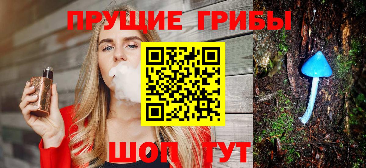 Шатура  Псилоцибиновые грибы Magic Shrooms  Вход с VPN  Галлюциногенные грибы Magic Shrooms 