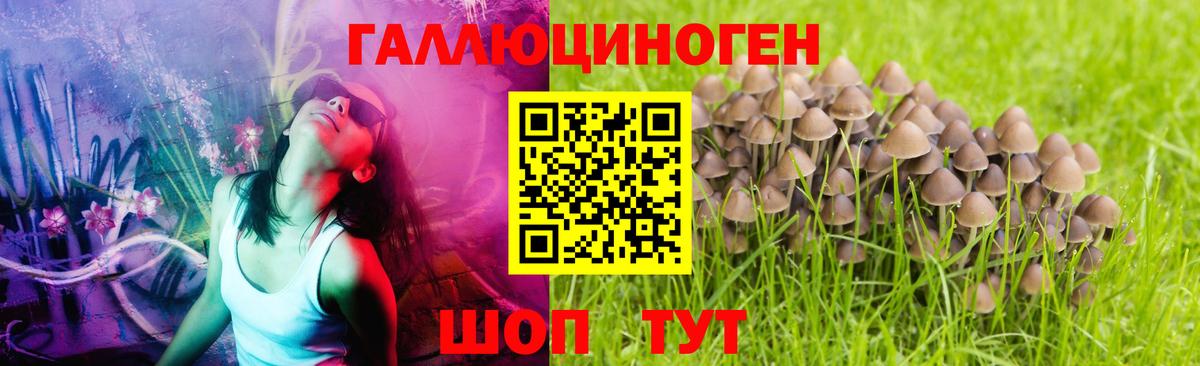 Галлюциногенные грибы Cubensis Шатура
